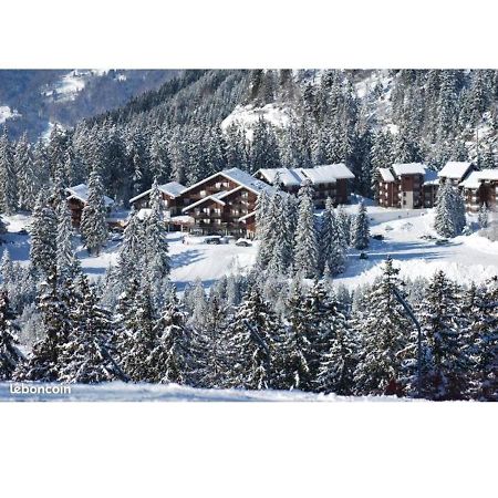 Studio Au Pied Des Pistes Avec Vue Sur La Montagne Mieussy 外观 照片
