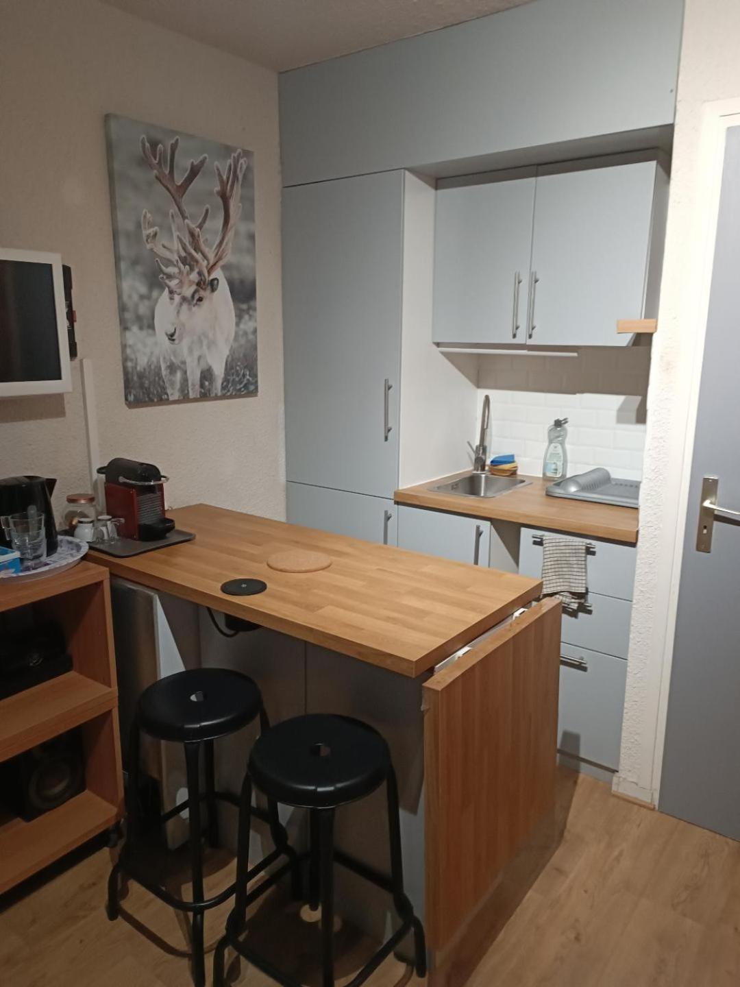 Studio Au Pied Des Pistes Avec Vue Sur La Montagne Mieussy 外观 照片