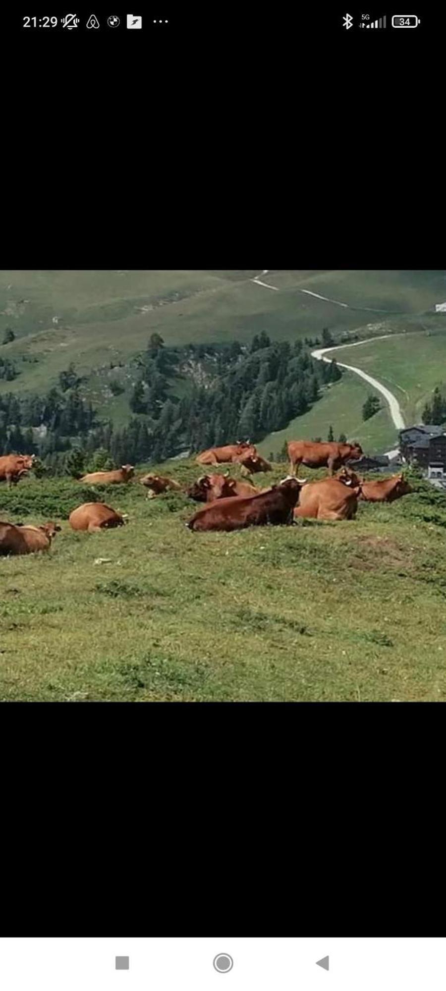 Studio Au Pied Des Pistes Avec Vue Sur La Montagne Mieussy 外观 照片